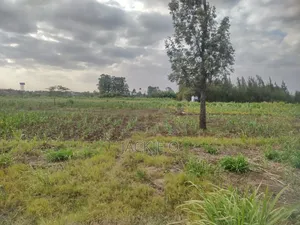 Plot for Lease / Rent