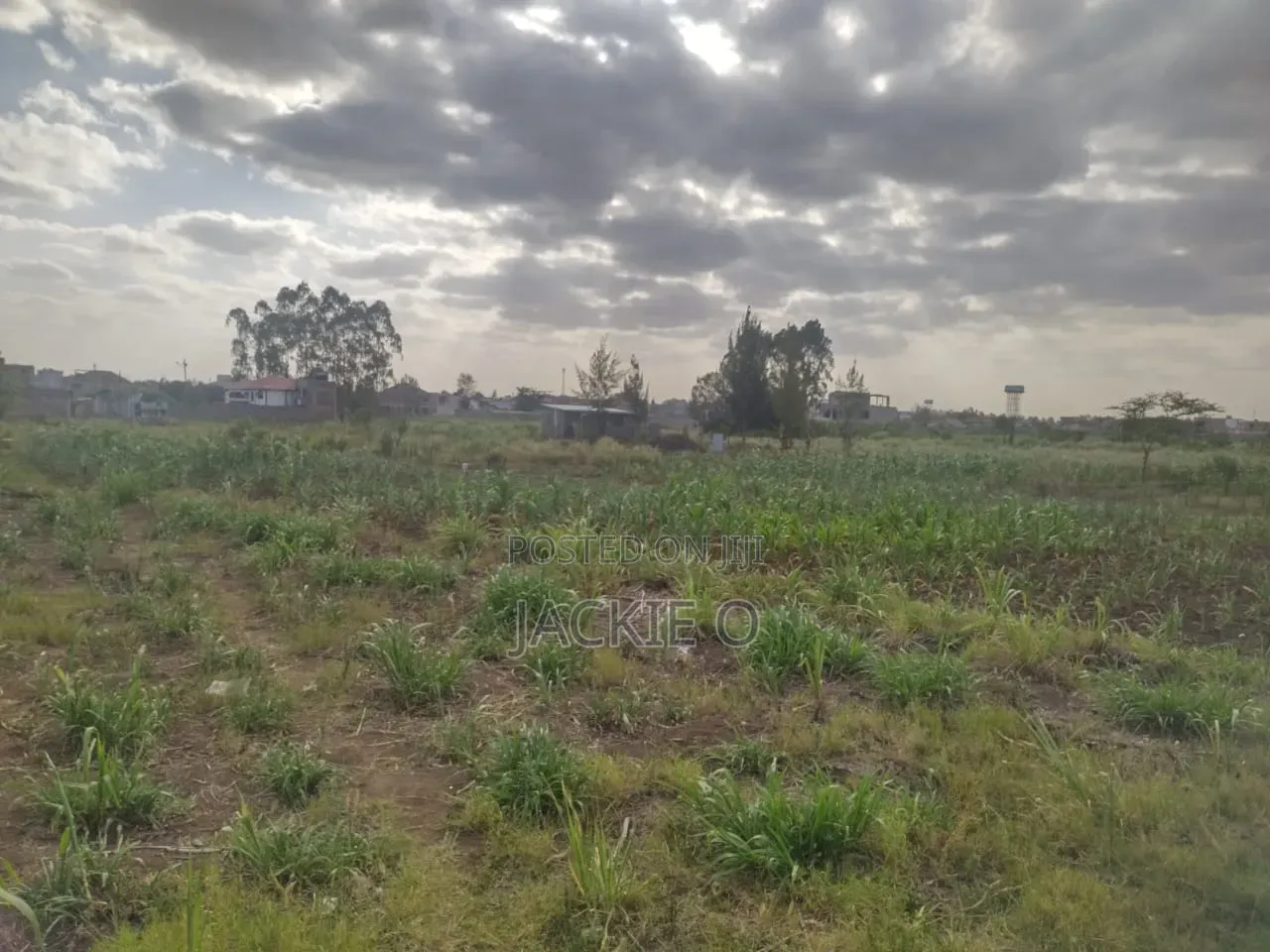 Plot for Lease / Rent
