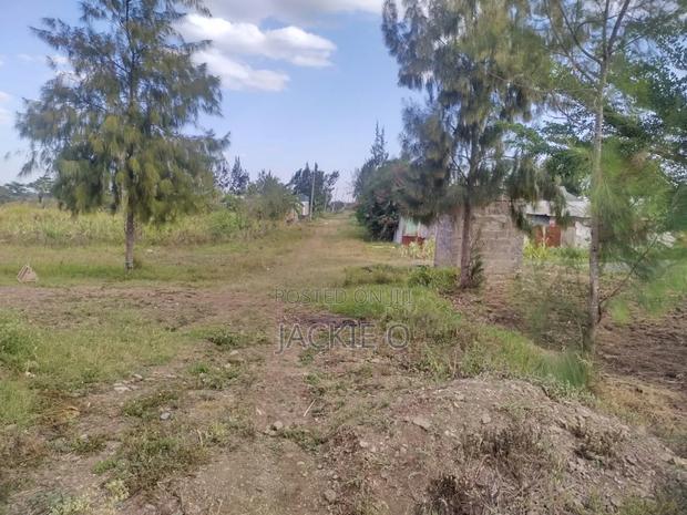 Plot for Lease / Rent - thumbnail 4