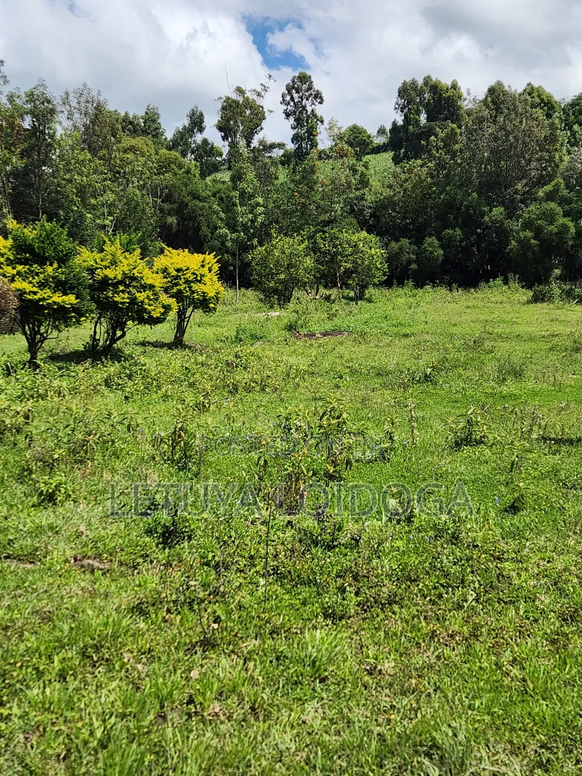 1⁄8 Acre Plots Ngong-Kiserian