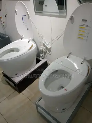 Smart Toilet