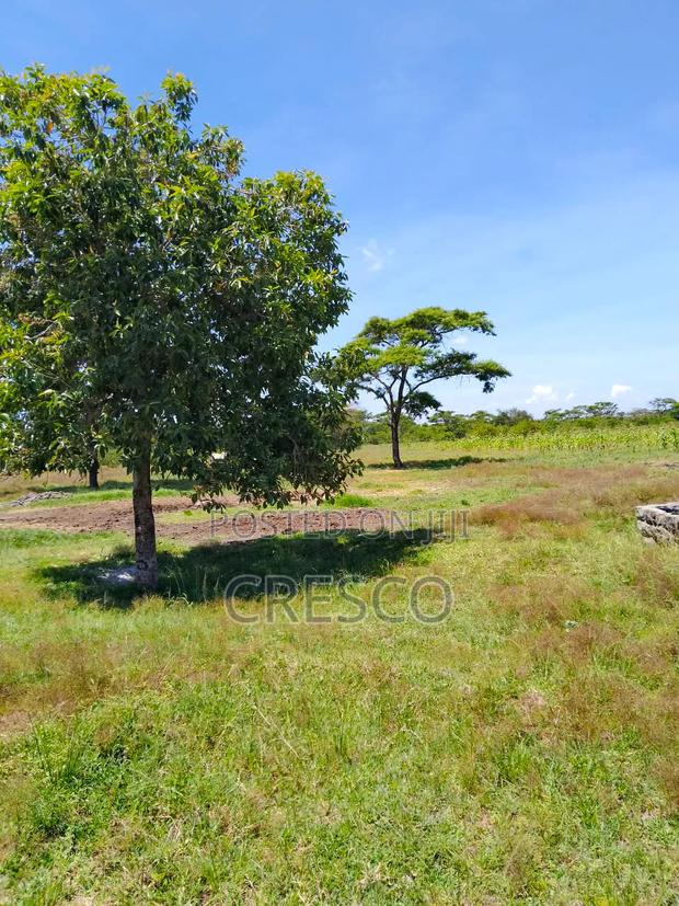Kilimambogo Plots - thumbnail 12