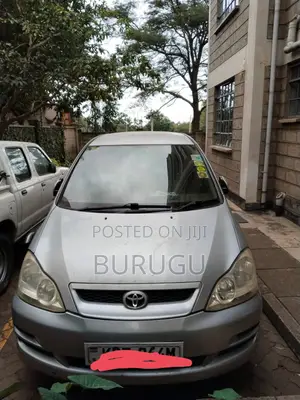 Toyota Ipsum 2007 Silver