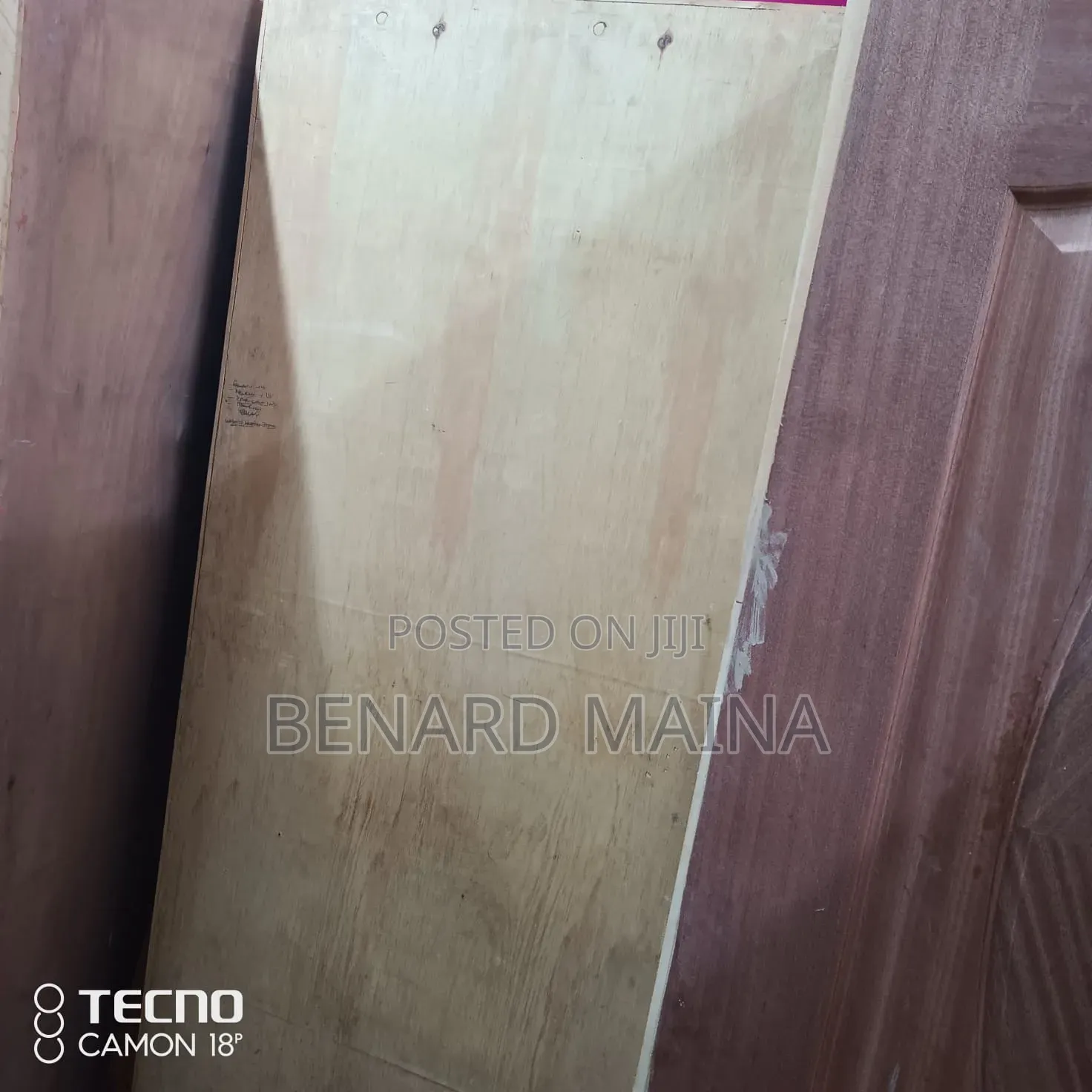 Flush Door