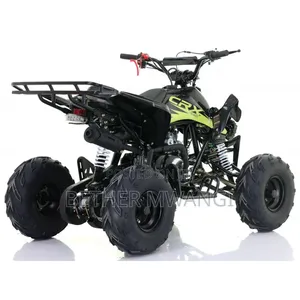 110cc Kids Quad Bike in Kenya