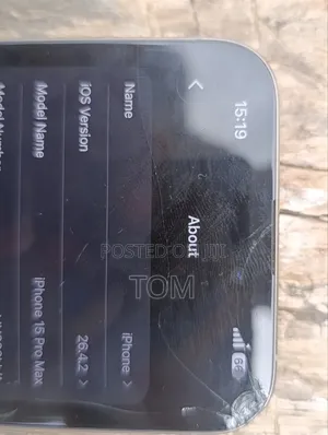 Apple iPhone 15 Pro Max 256 GB Gray