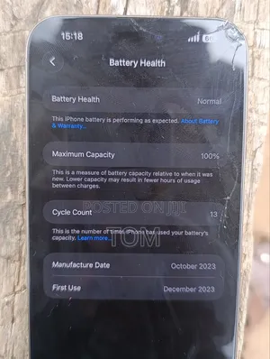 Apple iPhone 15 Pro Max 256 GB Gray