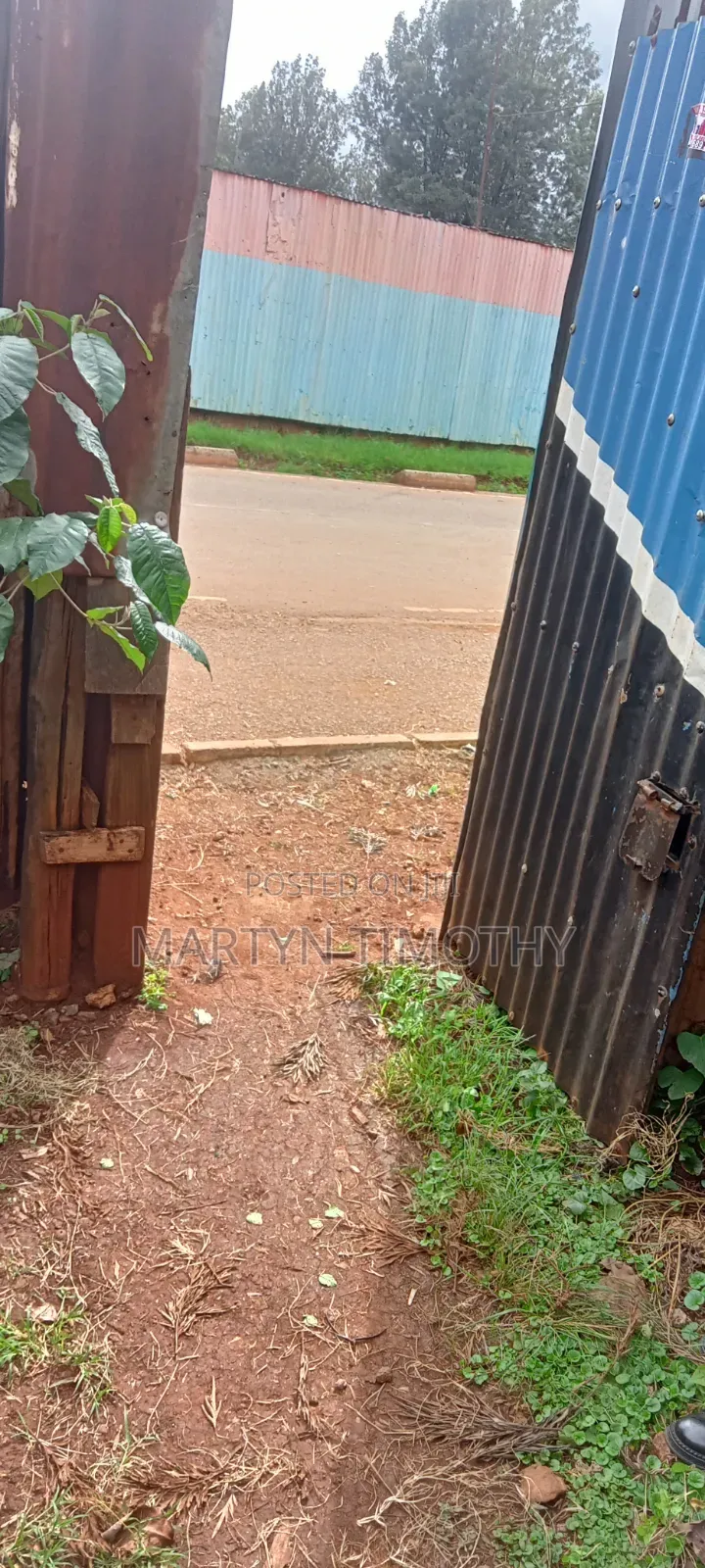 50x100, Nyeri - Ruring'u