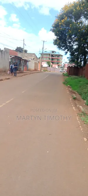 50x100, Nyeri - Ruring'u