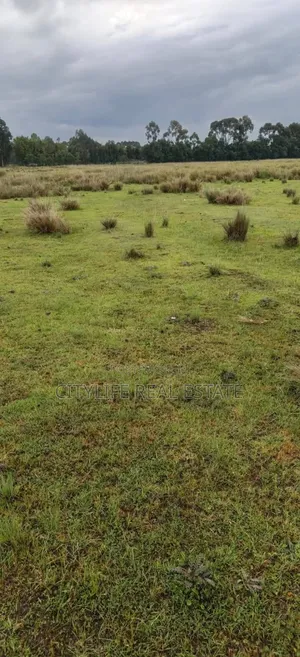 Nyandarua , Rurii Near Lake Ol Bolsat Is 15 Acres