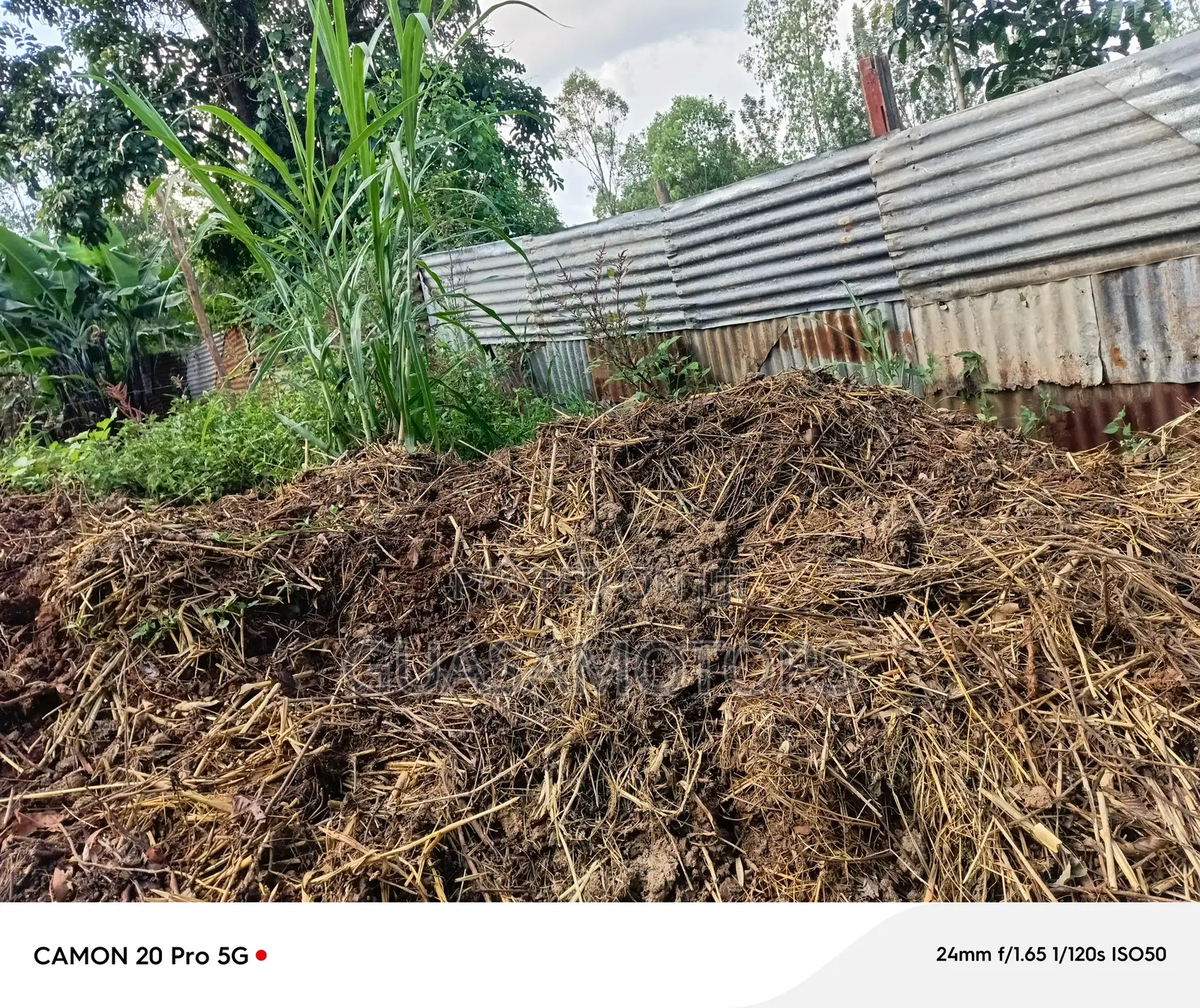 Manure for Sale
