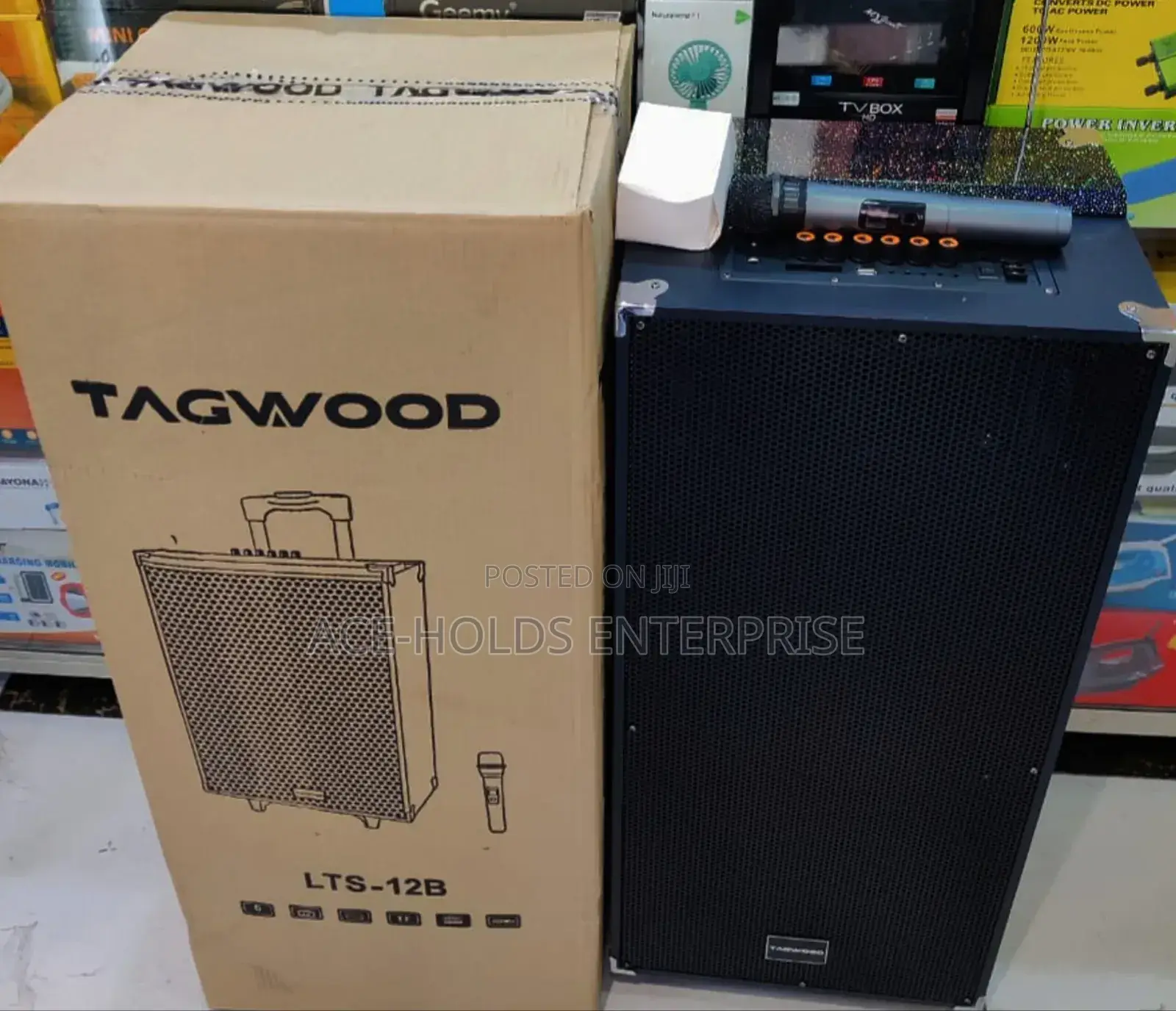 12" LTS-12b Tagwood Portable Rechargeable Dual Built-in Speaker