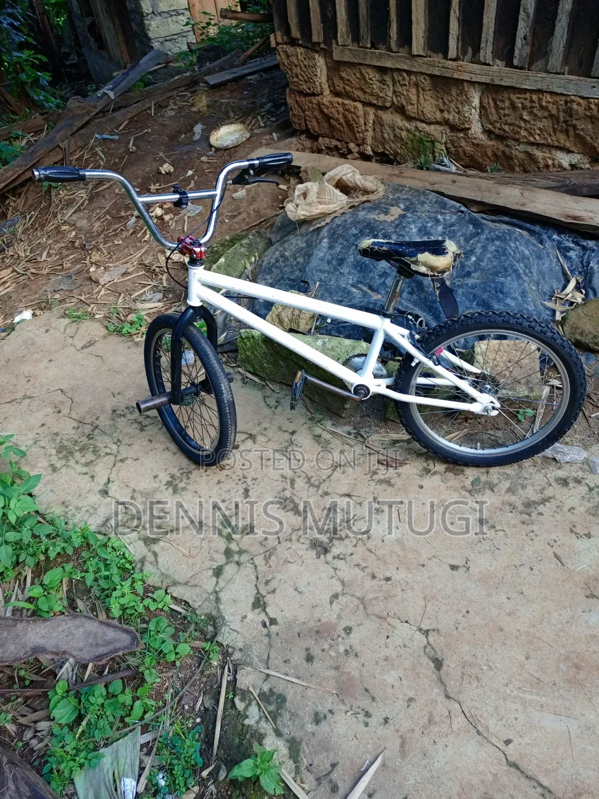 BMX Adults
