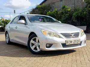 Toyota Mark X 2.5 AWD 2010 Silver