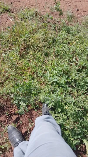 1 Acre Land at Nakuru Wanyororo a at 6m