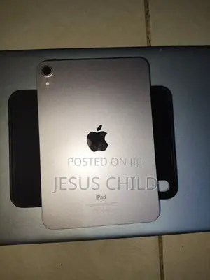 Apple iPad mini 6 256 GB Pink