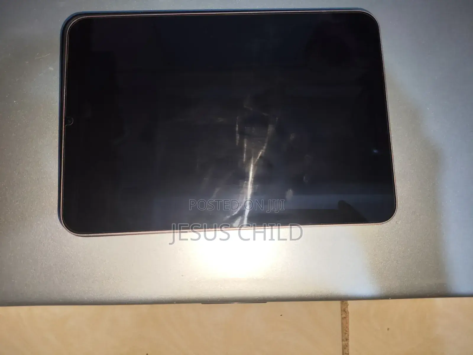 Apple iPad mini 6 256 GB Pink