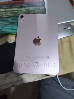 Apple iPad mini 6 256 GB Pink