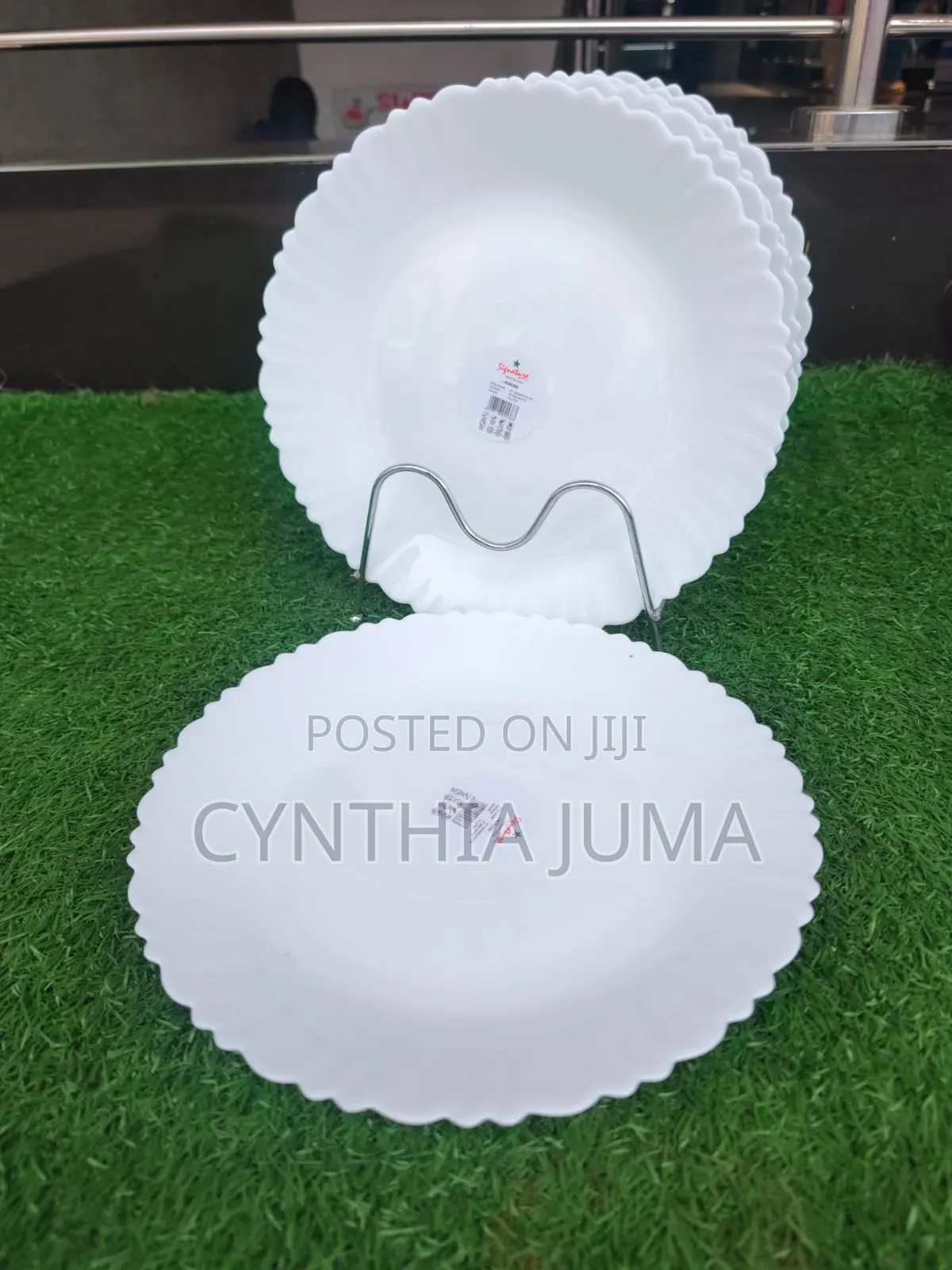 Dinner Plates Glass