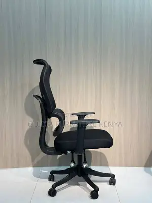 Office Orthopedic Mesh Chair.