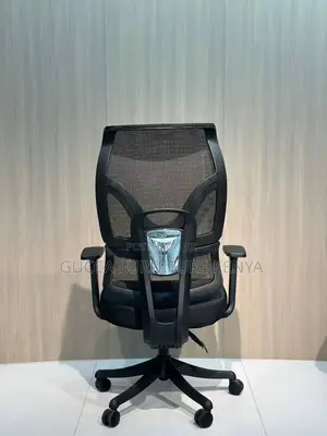 Office Orthopedic Mesh Chair.