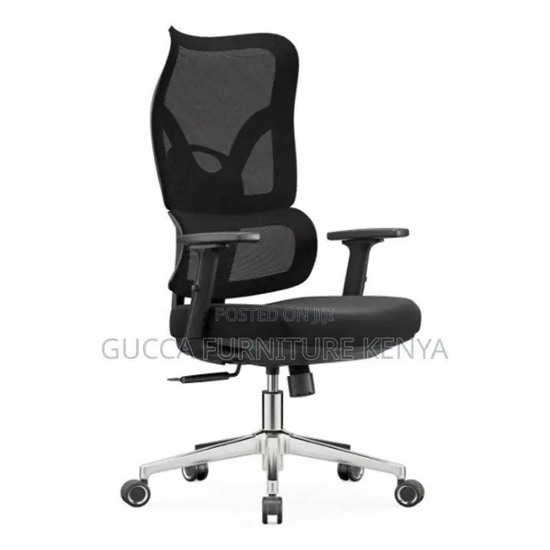Office Orthopedic Mesh Chair.