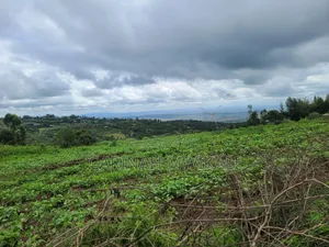 Mua Hills an Acre From as Low as 4.5m