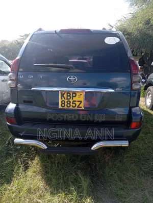 Toyota Land Cruiser Prado 2004 Gray
