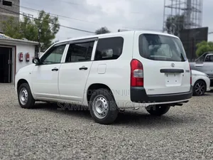 Toyota Succeed 2019 Pearl