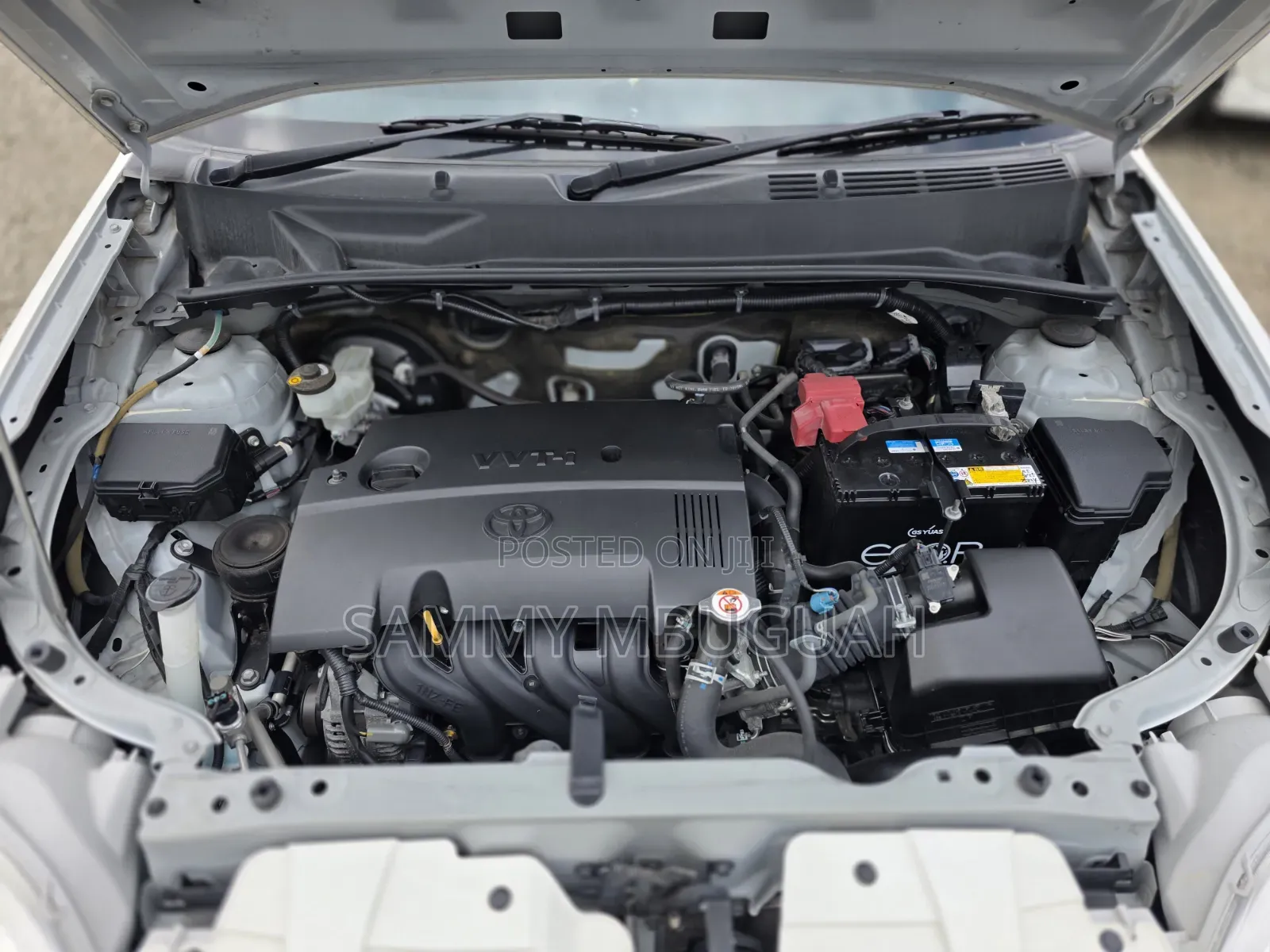 Toyota Succeed 2019 Pearl