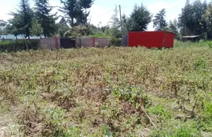Prime Plot on Sale 50x100