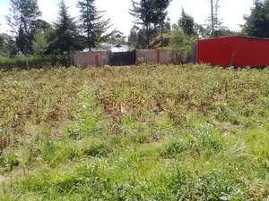Prime Plot on Sale 50x100