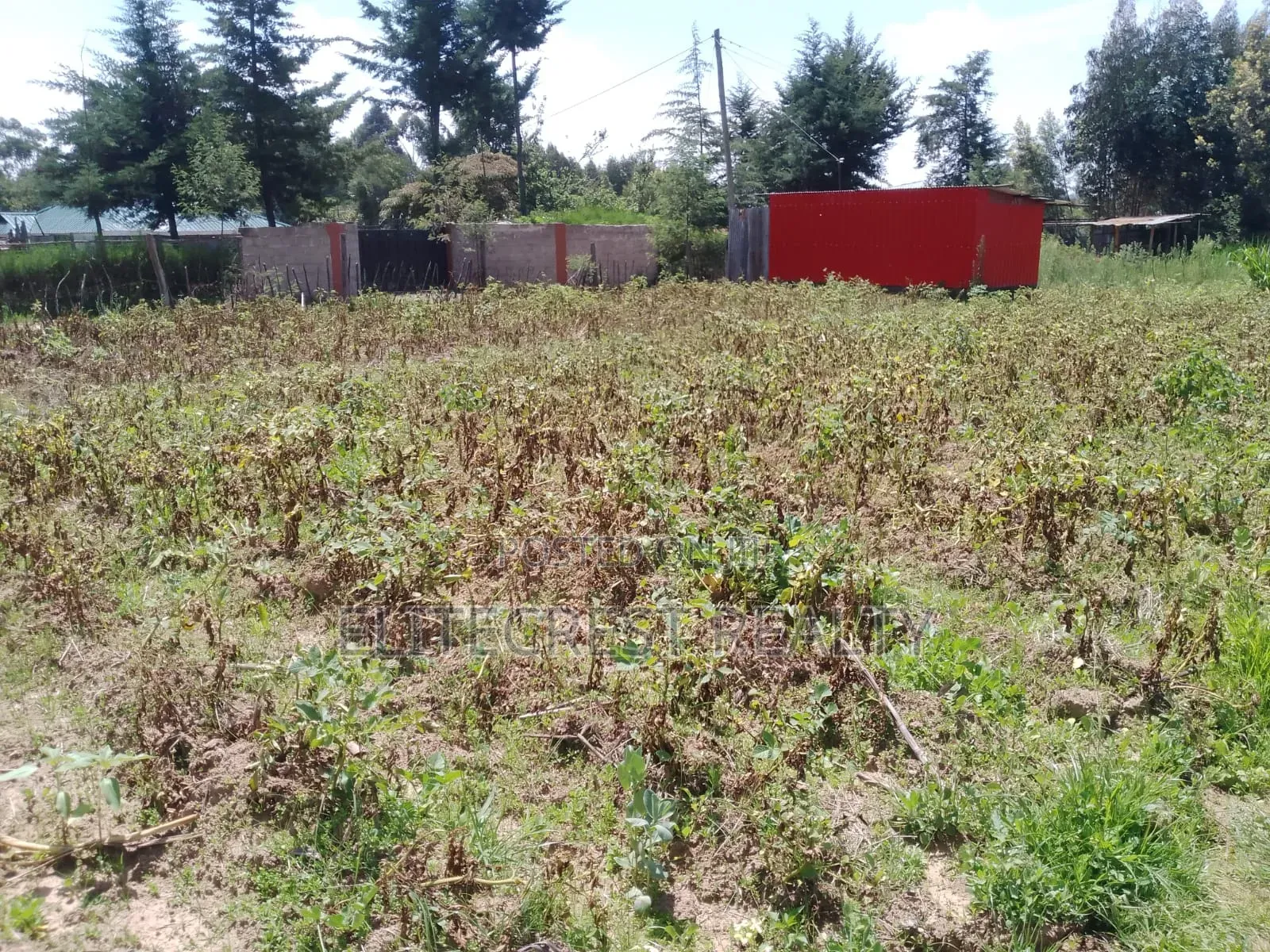 Prime Plot on Sale 50x100