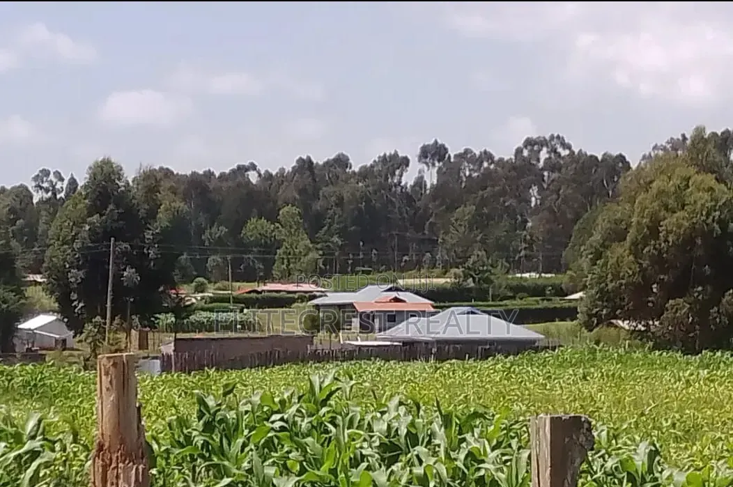Prime Plot on Sale 50x100