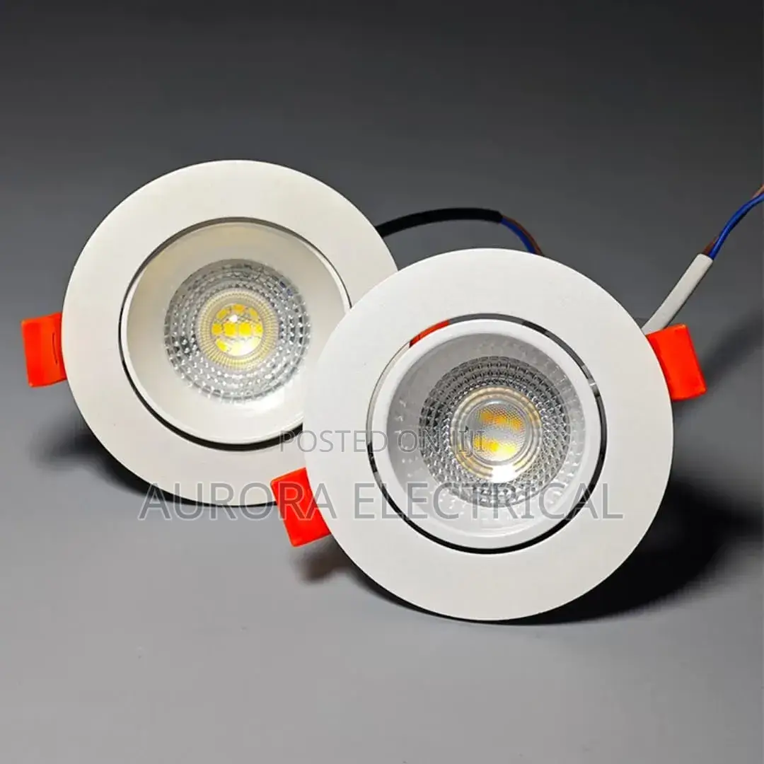 Tiltable Down Lighter