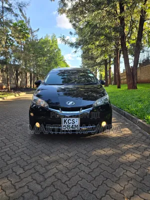 Toyota Wish 2011 Black