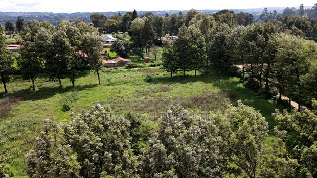 3 Acres for Lease Adjacent Naivas Tilisi - thumbnail 4