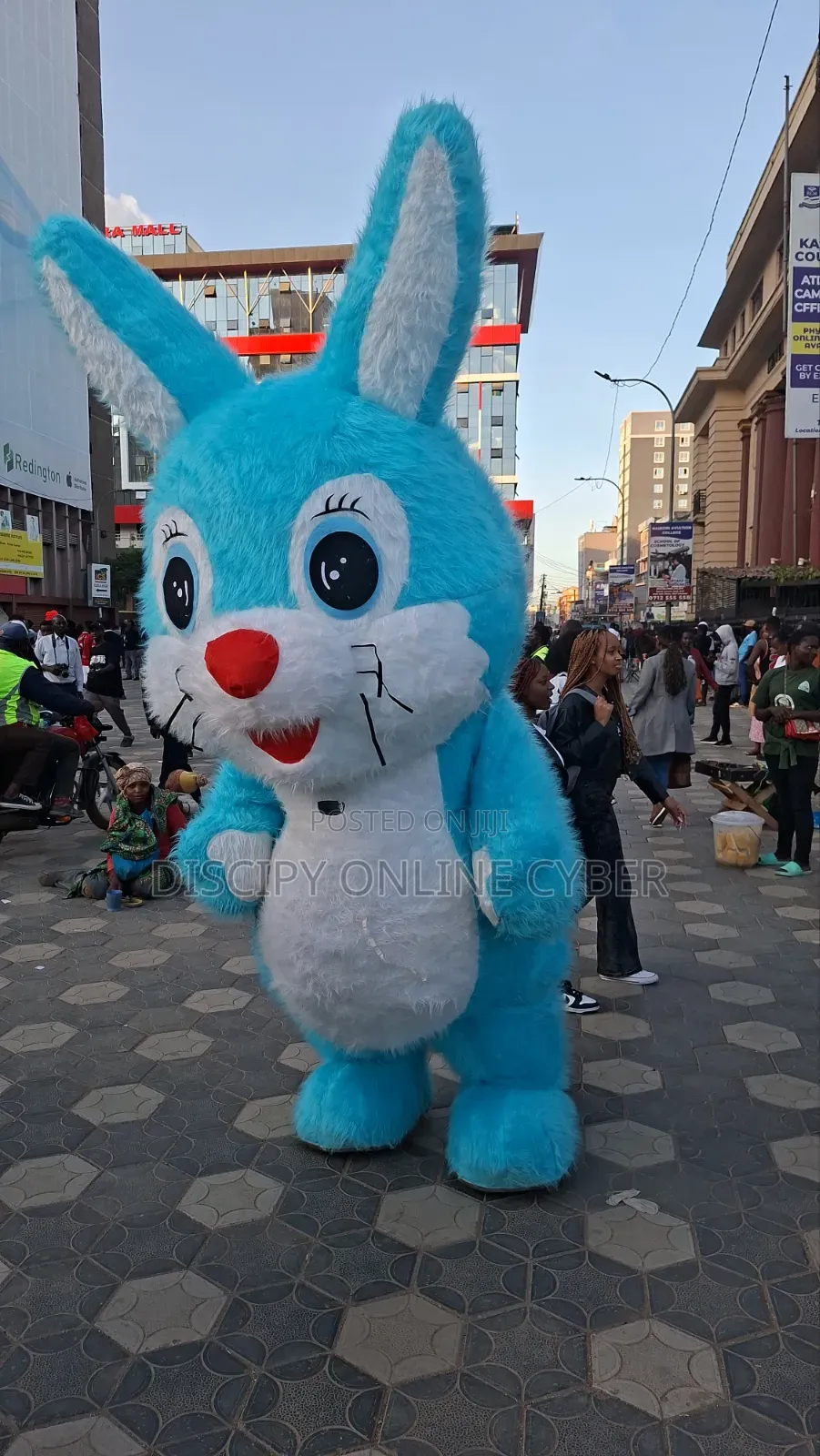 Mascot Costume on Sale