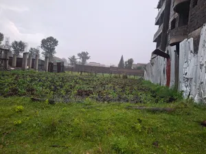 50*100 (1/8) Plot for Sale Kiamunyi Nakuru