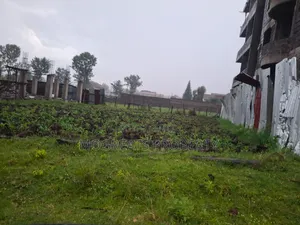 50*100 (1/8) Plot for Sale Kiamunyi Nakuru