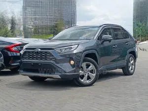 Toyota RAV4 Limited AWD 2020 Gray