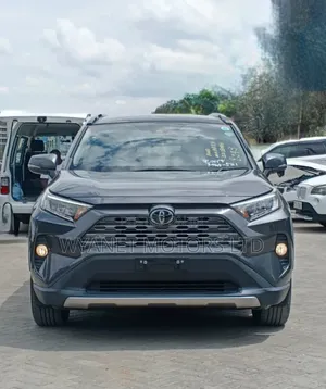 Toyota RAV4 Limited AWD 2020 Gray