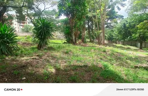 2.5 Acre Property For Sale