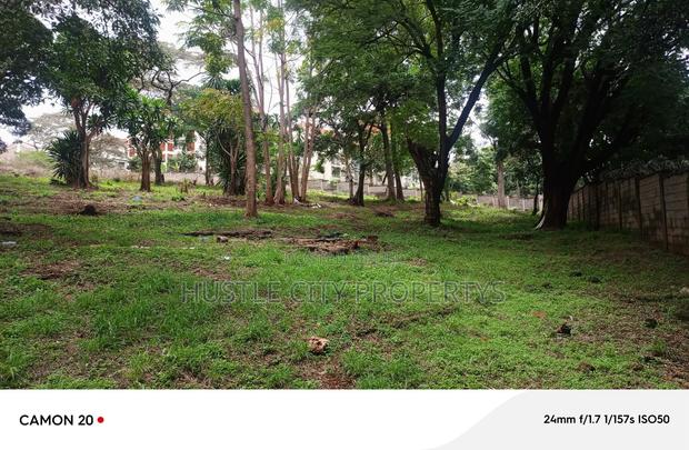 2.5 Acre Property For Sale - thumbnail 3