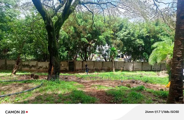 2.5 Acre Property For Sale - thumbnail 6