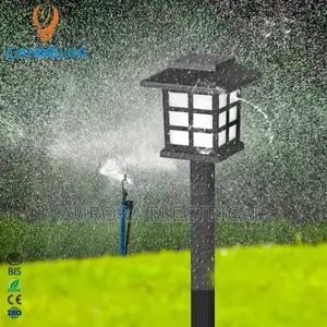 Solar Garden Lights/Pathway Lights