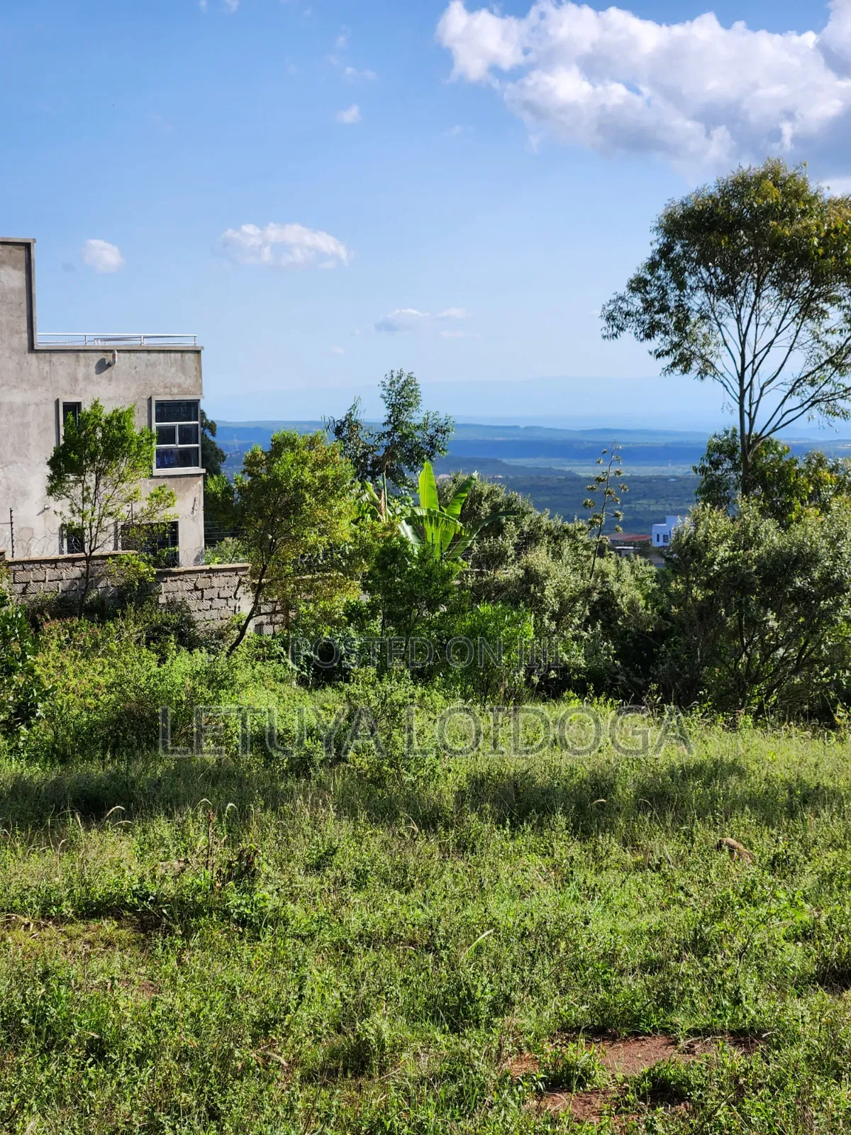 3⁄8 Acre Plots on Sale Ngong-Kibiko ( Baboon Crescent)