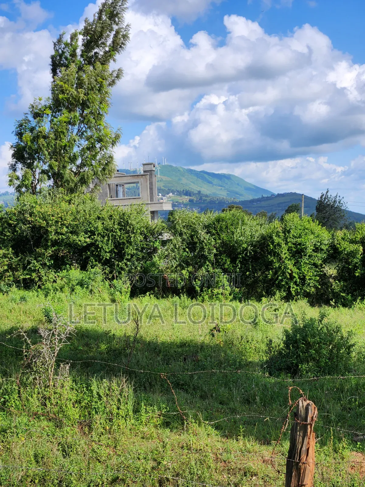 3⁄8 Acre Plots on Sale Ngong-Kibiko ( Baboon Crescent)