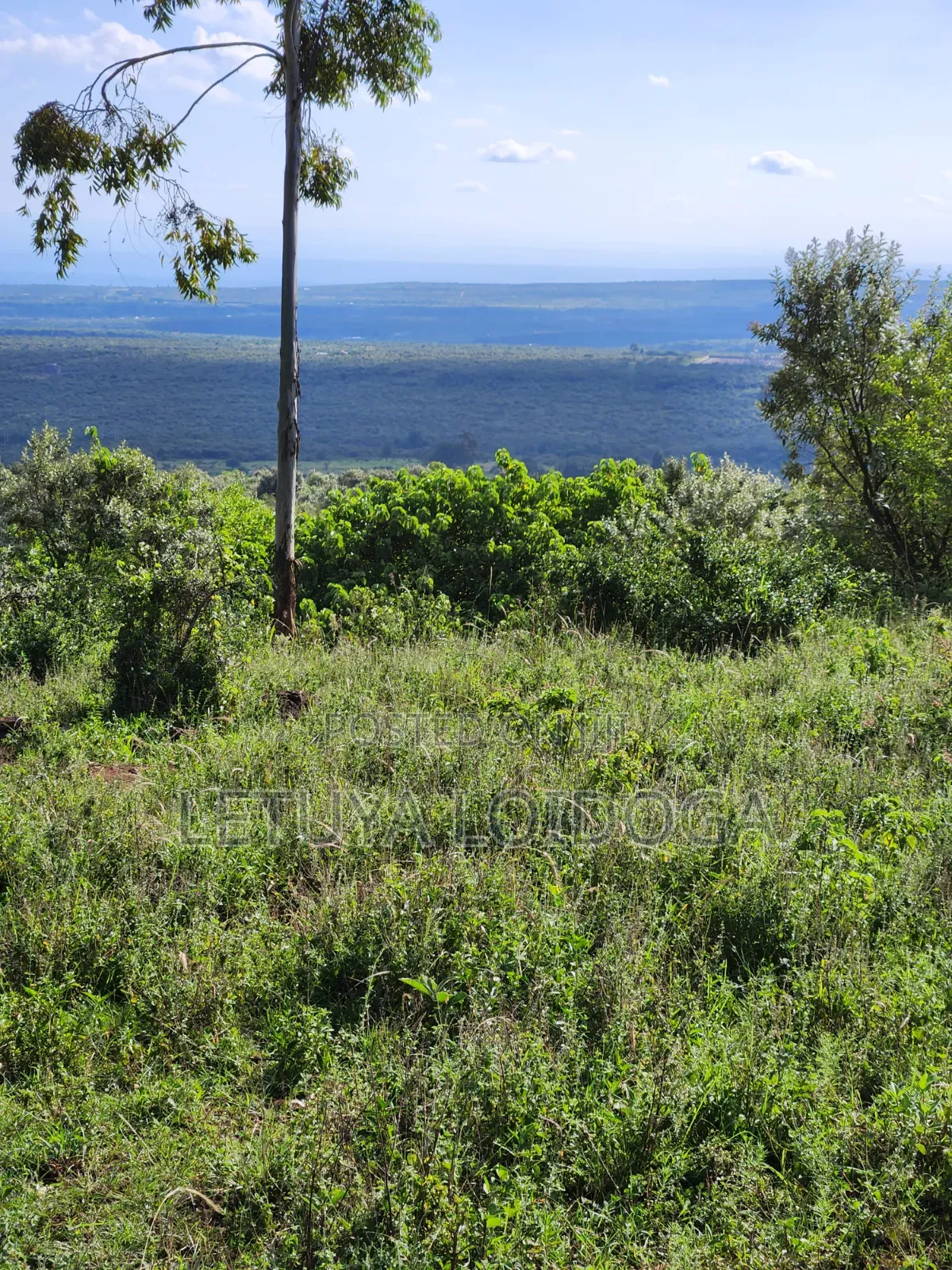 3⁄8 Acre Plots on Sale Ngong-Kibiko ( Baboon Crescent)