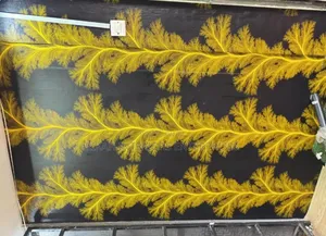 Yellow Trees Wallpapers Wallpapers Environmental Friendly Robertson's